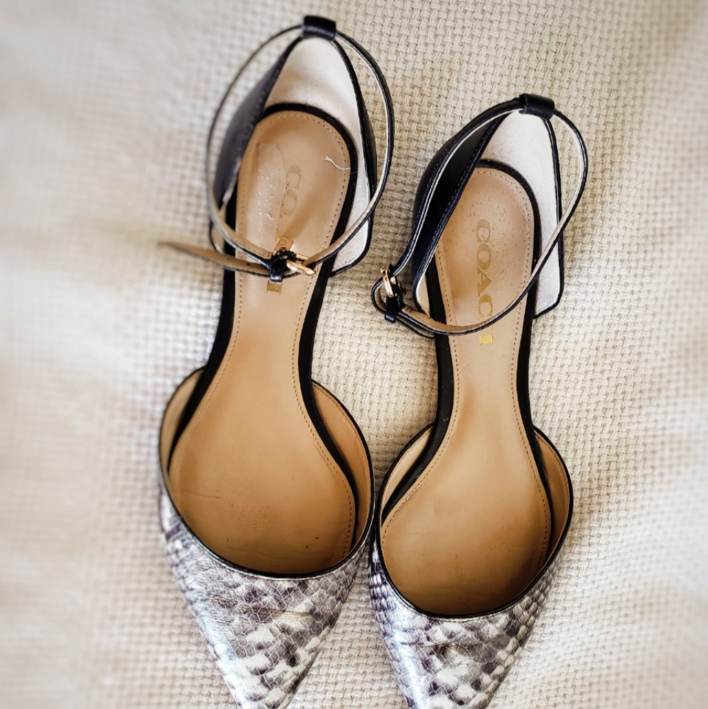 Snakeprint Coach Shoes